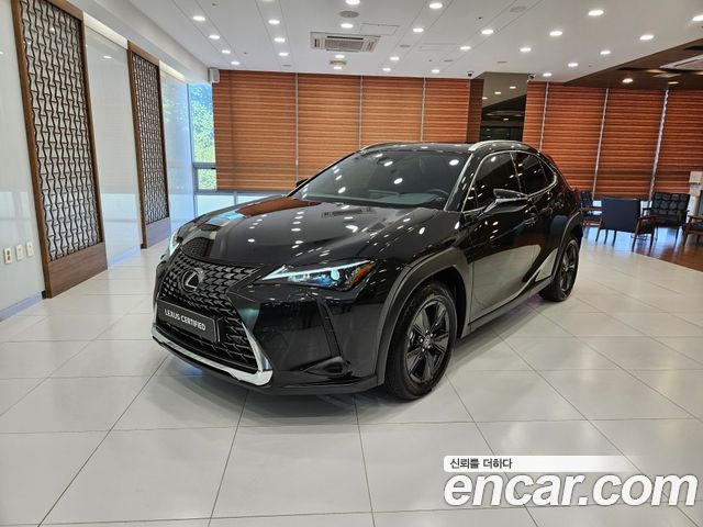 Lexus UX — exterior