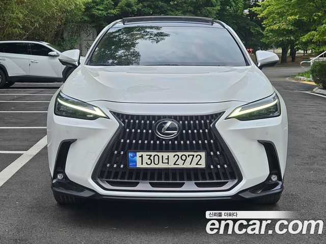 Lexus NX — exterior