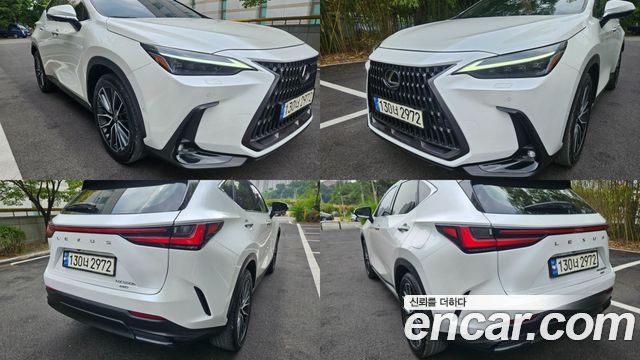 Lexus NX — interior