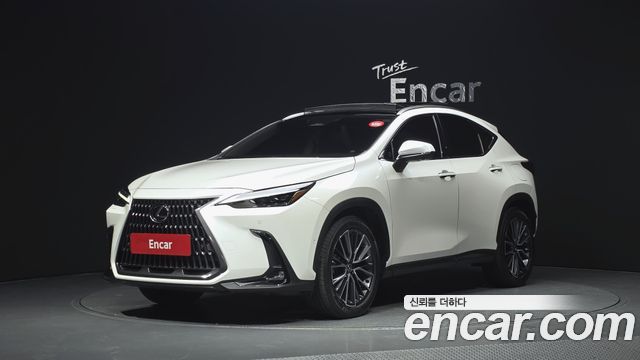 Lexus NX — exterior