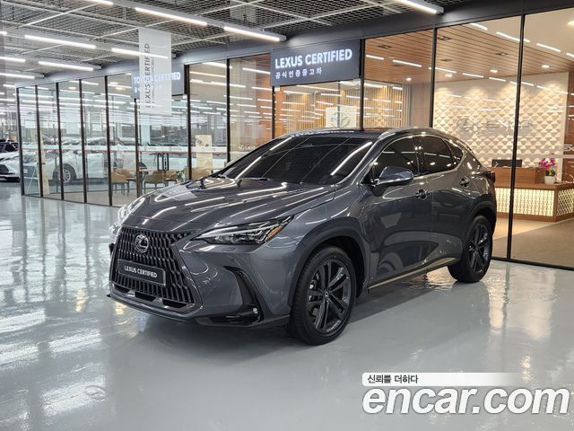 Lexus NX — exterior