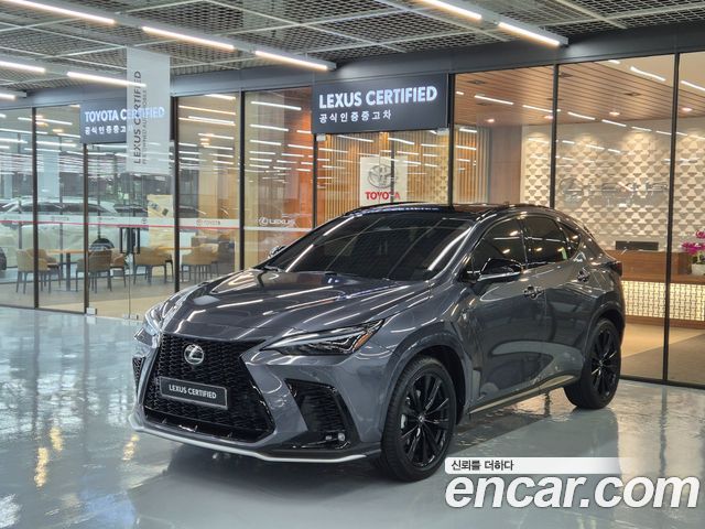 Lexus NX — exterior