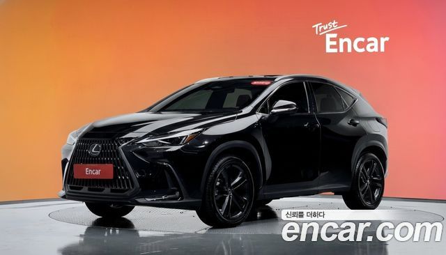 Lexus NX — exterior