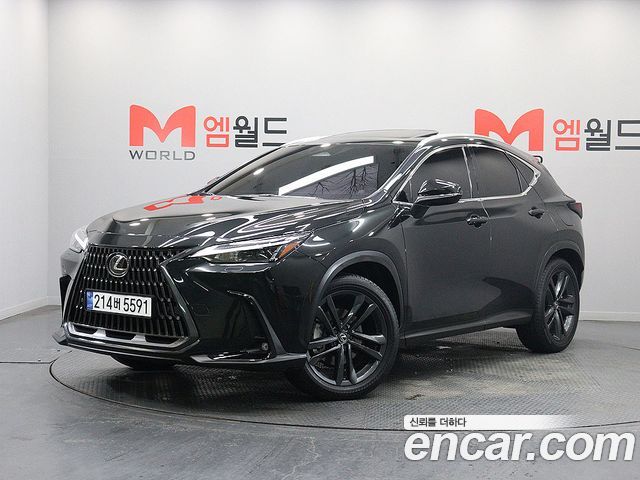 Lexus NX — exterior