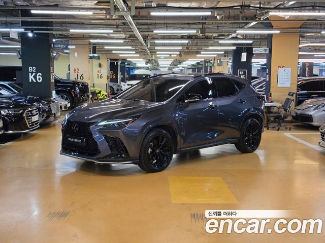 Lexus NX — exterior