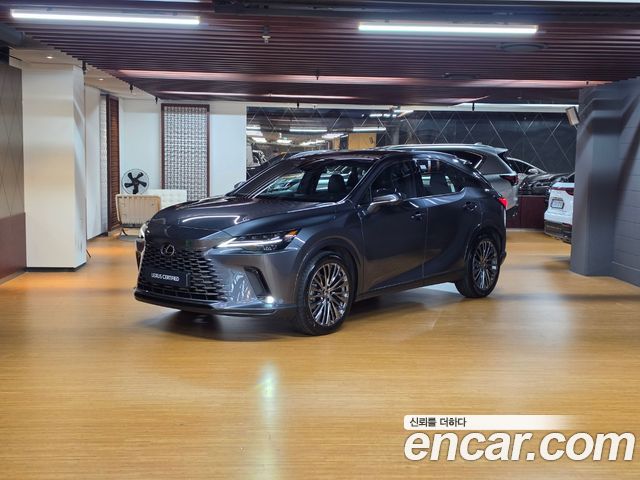 Lexus RX — exterior