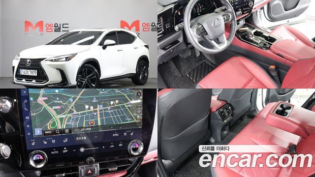 Lexus NX — exterior