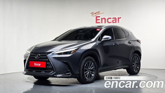 Lexus NX — exterior