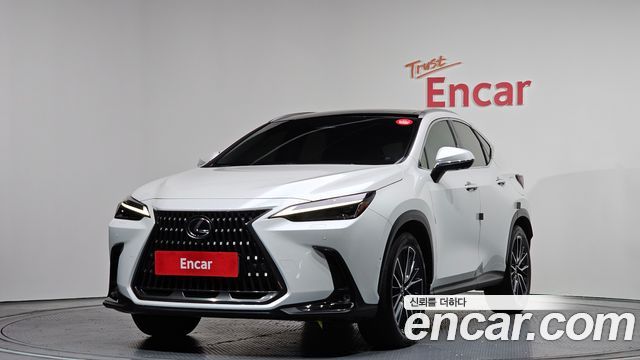 Lexus NX — exterior