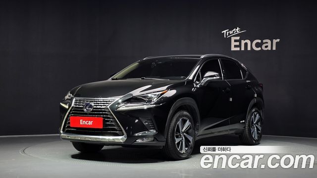 Lexus NX — exterior