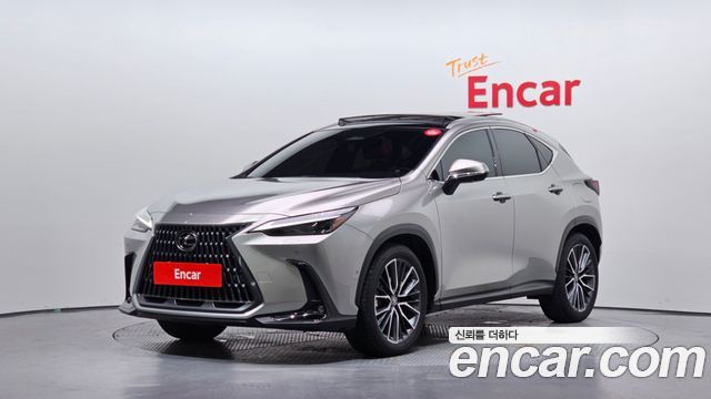 Lexus NX — exterior
