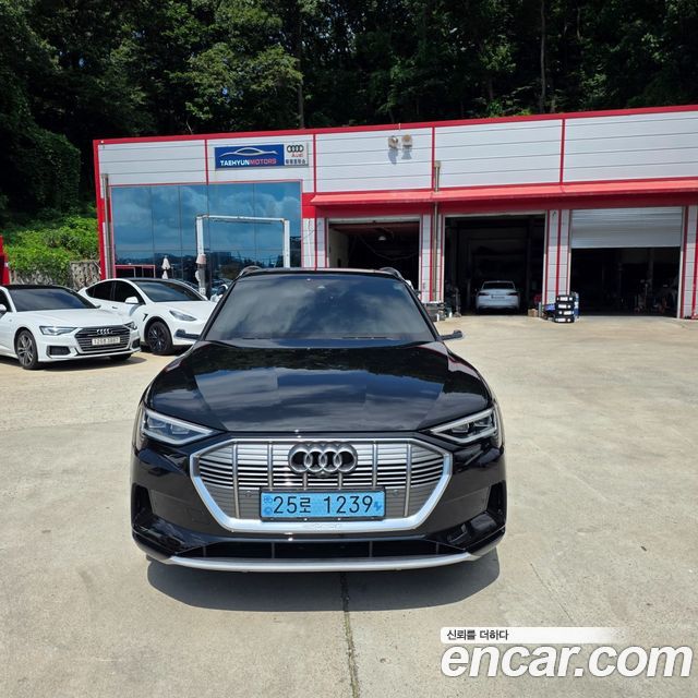 Audi e-tron — exterior