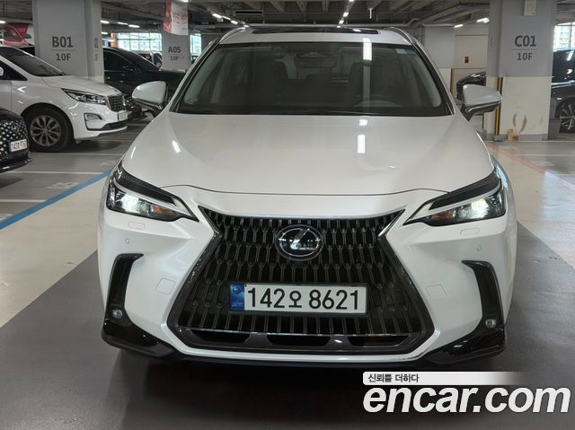 Lexus NX — exterior