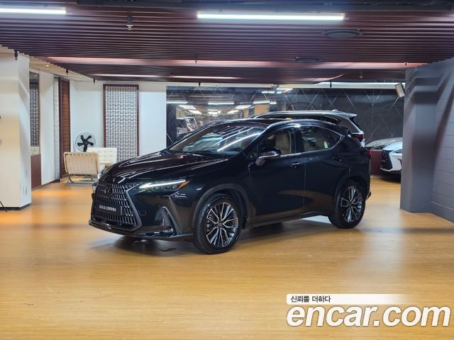 Lexus NX — exterior