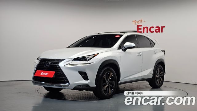 Lexus NX — exterior