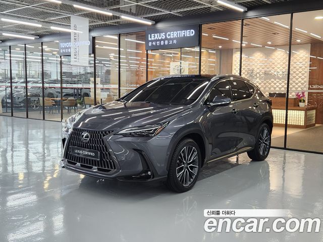 Lexus NX — exterior