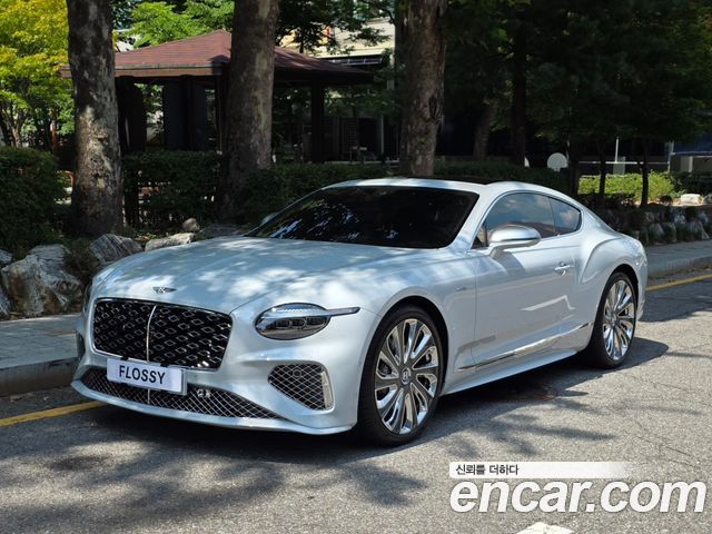 Bentley Continental — exterior