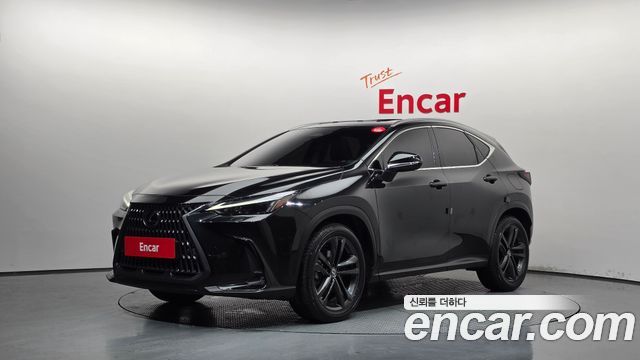 Lexus NX — exterior