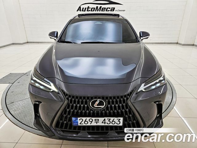 Lexus NX — exterior