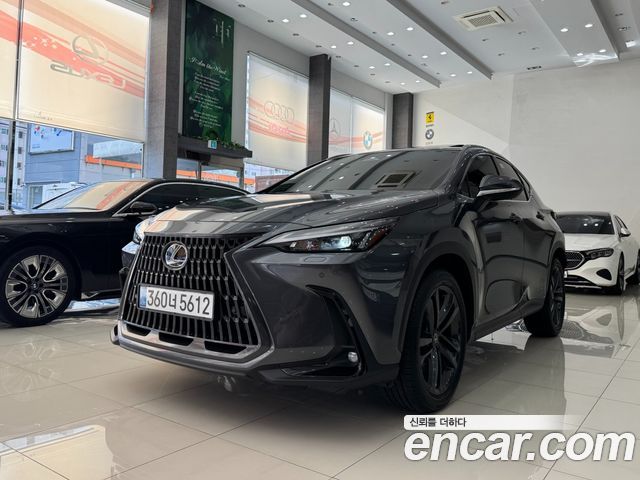 Lexus NX — exterior