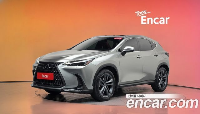 Lexus NX — exterior