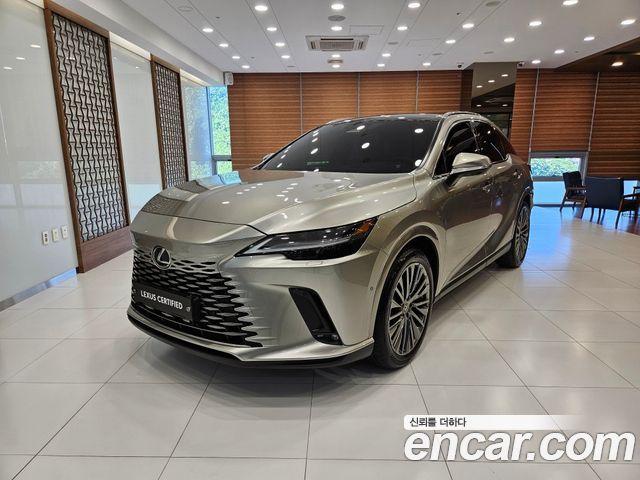 Lexus RX — exterior