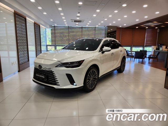 Lexus RX — exterior