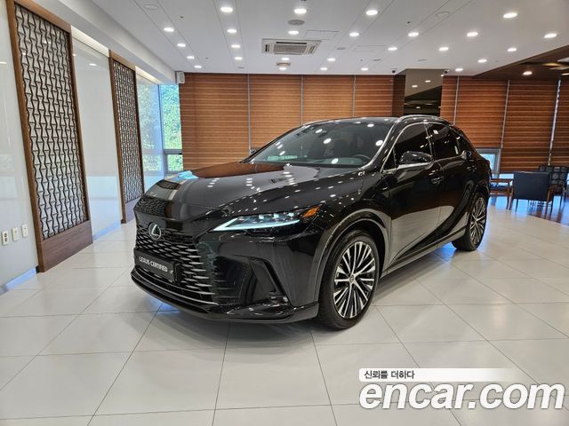Lexus RX — exterior