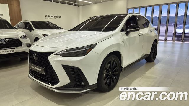Lexus NX — exterior