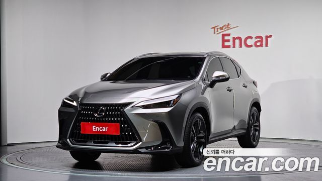 Lexus NX — exterior
