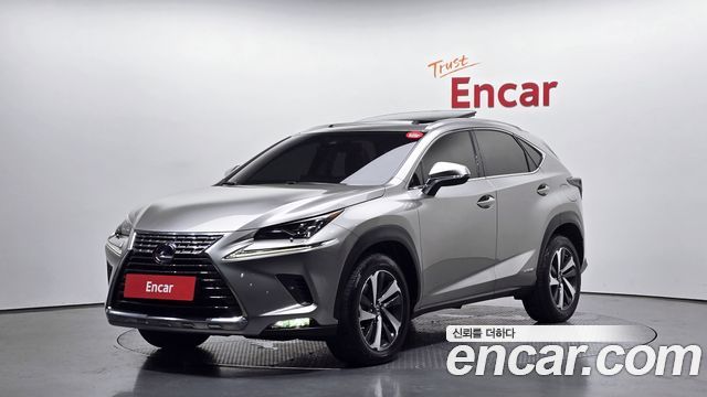 Lexus NX — exterior