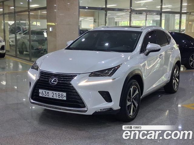 Lexus NX — exterior