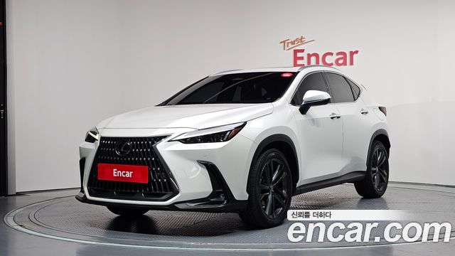 Lexus NX — exterior