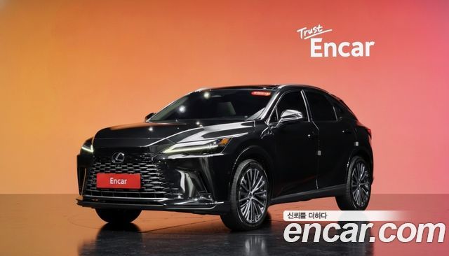 Lexus RX — exterior