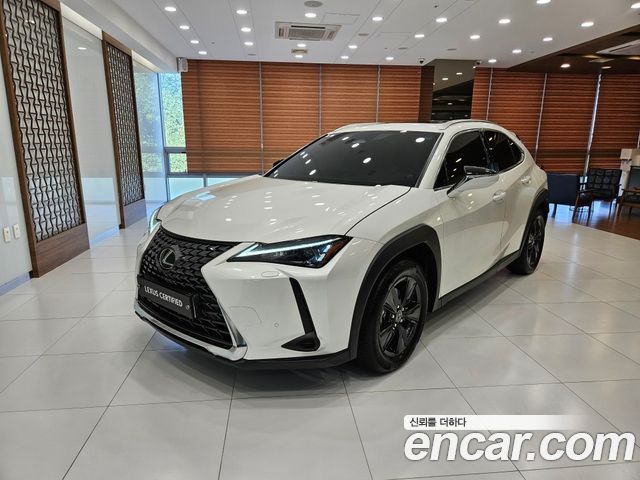 Lexus UX — exterior