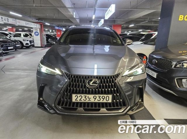 Lexus NX — exterior