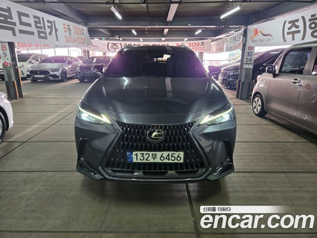 Lexus NX — exterior