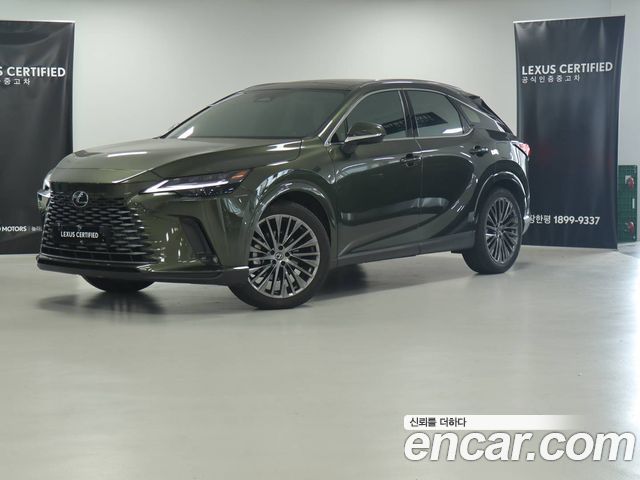 Lexus RX — exterior