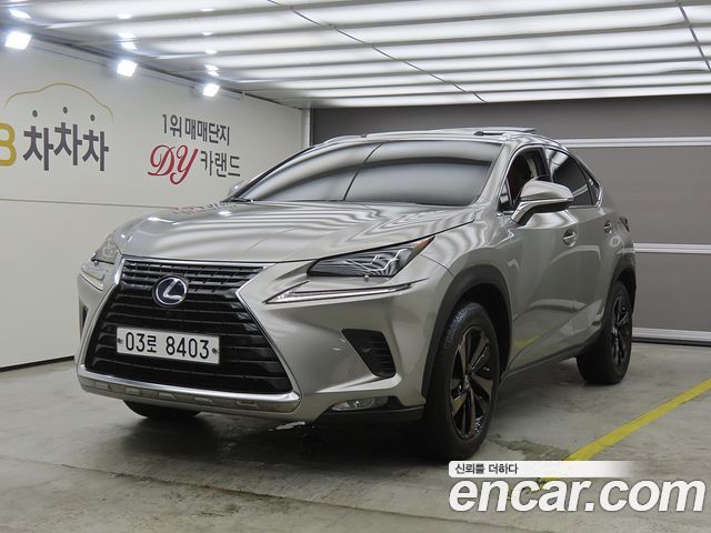 Lexus NX — exterior