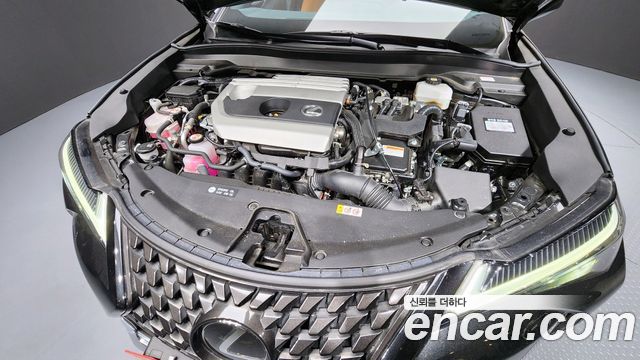 Lexus UX 2024 — photo 6