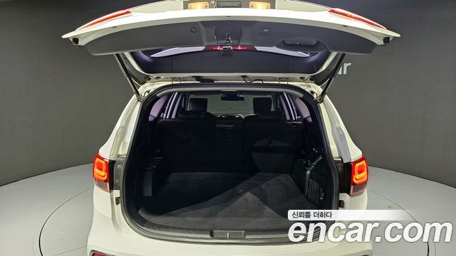 Hyundai Maxcruz 2017 — photo 20