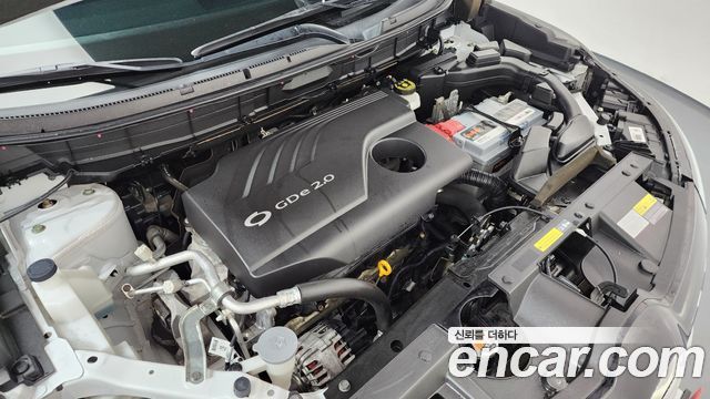 Renault Korea QM6 2020 — photo 6