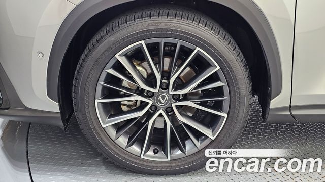 Lexus NX 2025 — photo 5