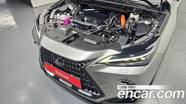 Lexus NX 2025 — photo 6