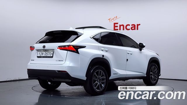 Lexus NX 2016 — photo 2