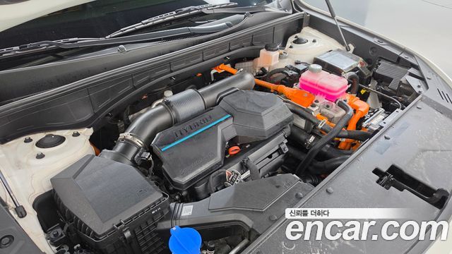 Kia Sorento 2023 — photo 6