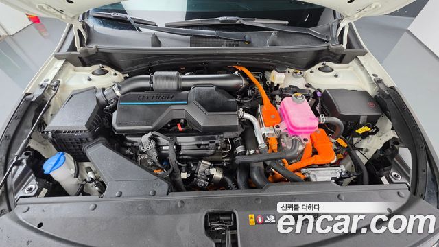 Kia Sportage 2024 — photo 6