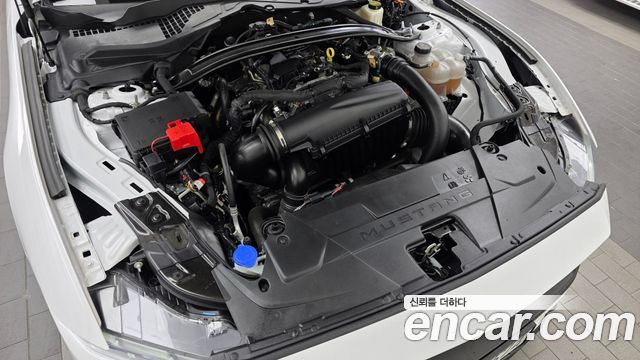 Ford Mustang 2024 — photo 6