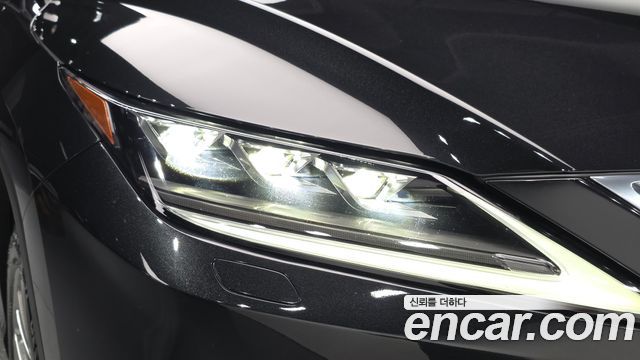Lexus RX 2022 — photo 8