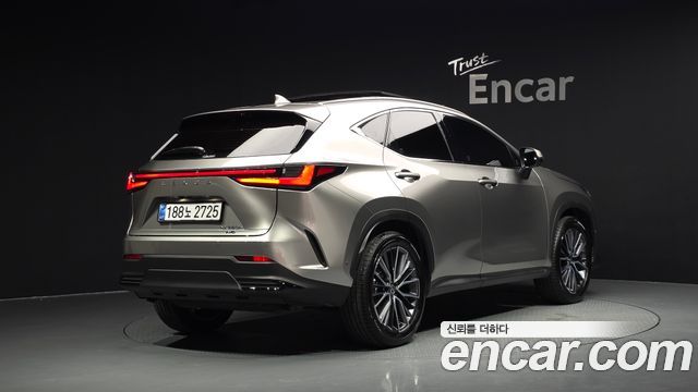 Lexus NX 2025 — photo 2